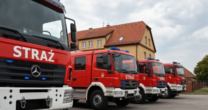 zatrzymaj-ogie----jak-unikn-----po--ar--w-traw-i-l-auto-1082