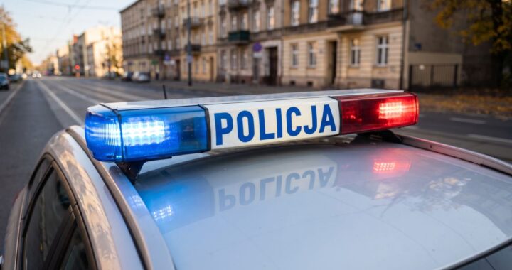 podczas-weekendu--nyscy-policjanci-interweniowali--auto-11480